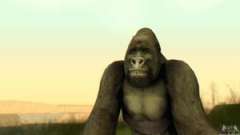 Gorilla (Mammal) para el GTA San Andreas