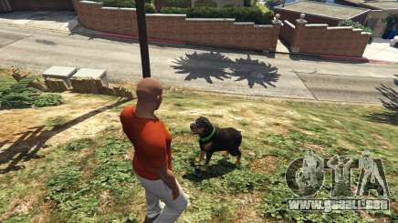 Paseo con el perro en el GTA 5