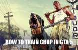 Cómo entrenar a Chop en GTA 5