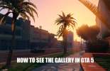 Vistas de la galería de GTA 5