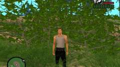 Realidad perfecta para GTA San Andreas