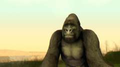 Gorilla (Mammal) para GTA San Andreas