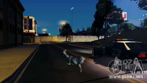 La posibilidad de GTA V para jugar para los anim para GTA San Andreas
