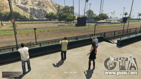 GTA 5 Greyhound Racing Mod 1.1