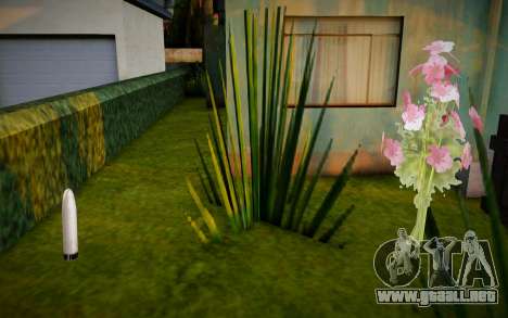 CJ Girlfriends Gifts para GTA San Andreas