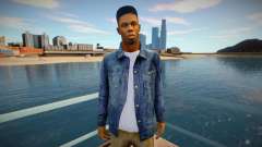 Driver para GTA San Andreas