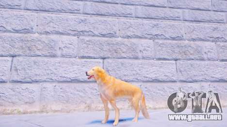 Dogs Ped Pack (Fallout 4) para GTA 4