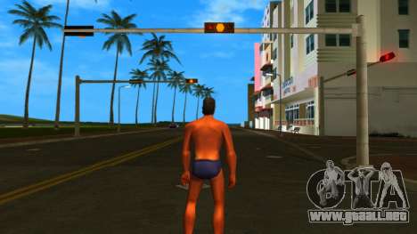 HD Hmybe para GTA Vice City